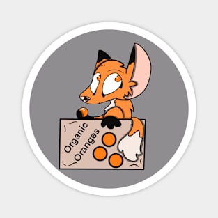 Fox in a Box of Oranges Magnet